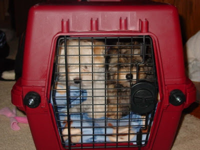 travel_crate